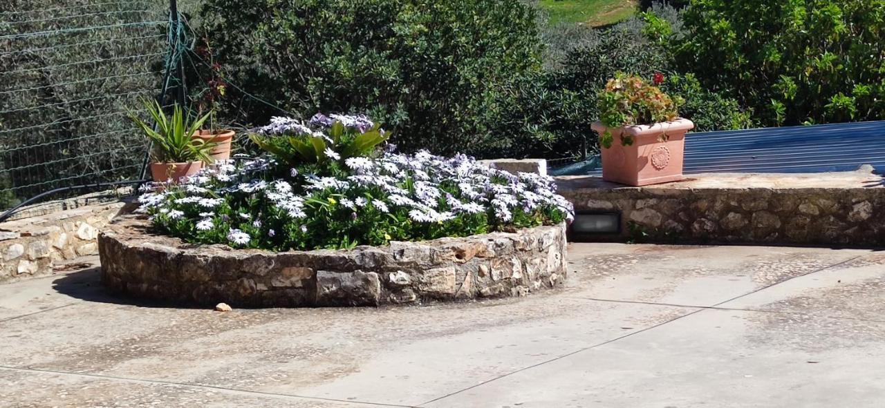 Home A&G Contrada Fumarola Ostuni Luaran gambar